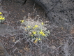 el hierro arenas blancas 13