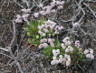 el hierro arenas blancas 15