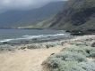 Strand playa arenas blancas El Hierro