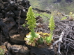 el hierro pozo de la salud 16