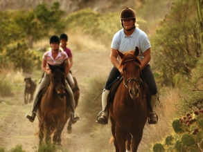 Reiten Teneriffa Teneriffa Horses