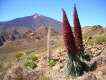 Teide Nationalpark ed