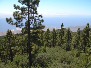 Teide Teneriffa Chimague