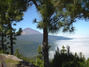 Teide Teneriffa Chipeque