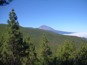 Mirador Teide Teneriffa Ortuno