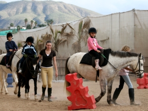 Tenerifehorses Reiten 2