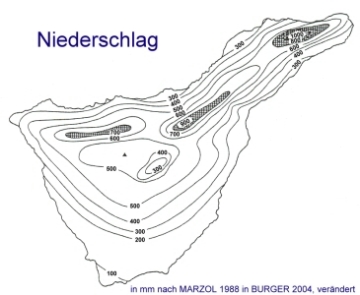 Niederschlag