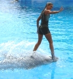 Aqualand teneriffa Frau auf einem Delfin