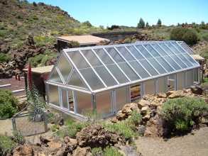 Gewchshaus Teide