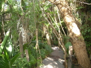 jungle park teneriffa dschungel