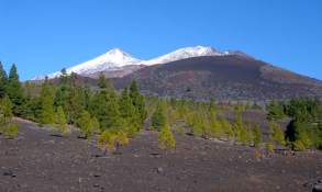 Teneriffa Kreaktiv Teide