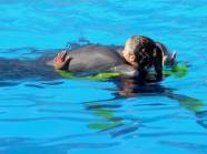 Spielen mit den Tieren im Loro Parque