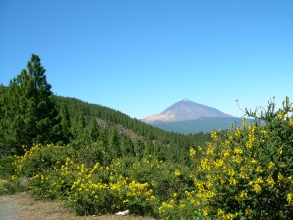 Teneriffa  Mirador Teide Ortuno