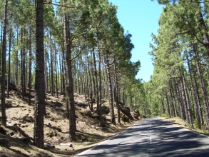 Teneriffa Teide Strasse zum Mirador Ortuno