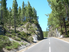 Teneriffa Teide Ortuno