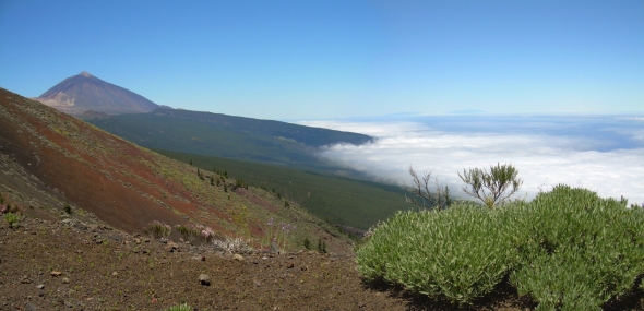 Teneriffa Teide beim Mirador Crucita