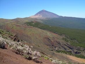 Teneriffa Teide hinter Mirador Crucita