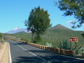 Tenogebrige Teneriffa