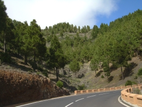 Teno Teneriffa Strassenrand