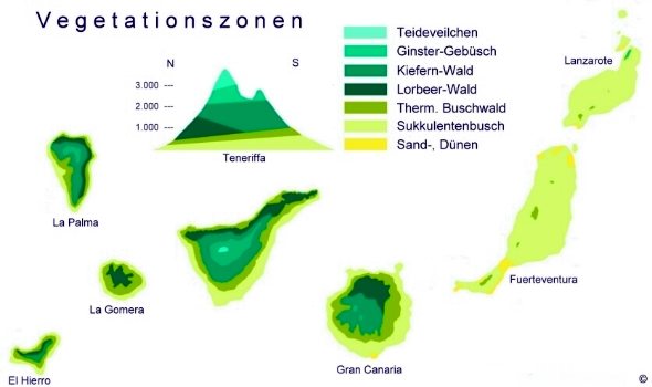 Vegetationszonen auf den Kanarischen Inseln