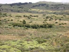 Landschaft der Umgebung El Sabinar