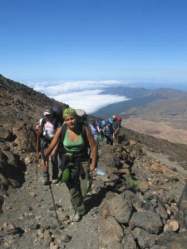 Wandern El Cardon Teneriffa kkb2