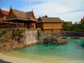 Seelöwen Teneriffa Siam Park