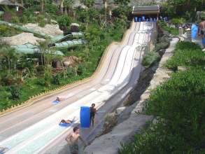 Naga Racer im Siam Park