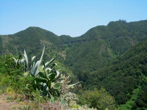 Anaga Carboneras Teneriffa