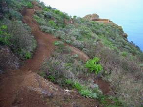 Anaga Chinamada Teneriffa l7