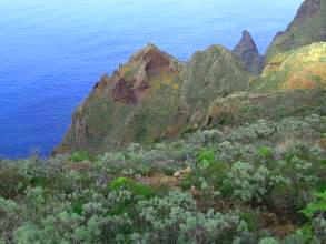 Anaga Chinamada Teneriffa l8