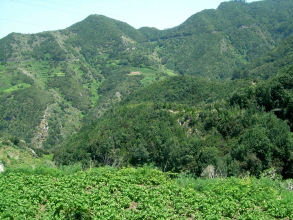 Anaga Teneriffa bei Las Carboneas