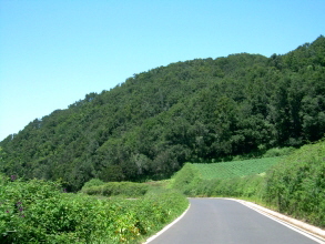 Carboneras Anaga Teneriffa