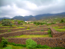 Pyramiden Anlage Guimar Teneriffa