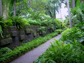 botanischer garten teneriffa puerto 5