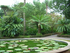 botanischer garten teneriffa puerto 14