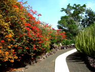 jardines del atlantico teneriffa Blumenweg