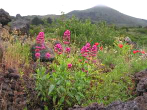 Las Montanetas El Hierro