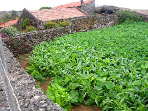 Las Montanetas Naturschtz El Hierro