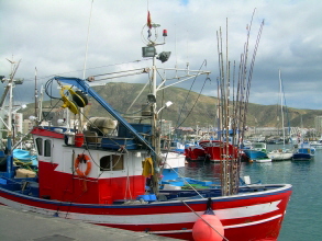 Los Cristianos auf Teneriffa