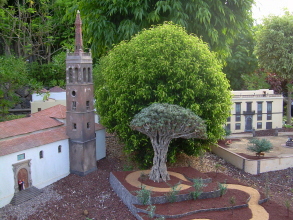 Pueblochico Drachenbaum