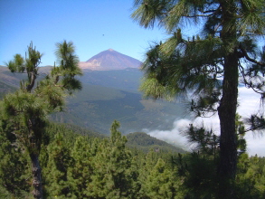 Teide Teneriffa Chipeque