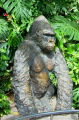 Gorilla im Loro Parque