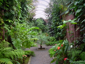 botanischer garten teneriffa 6