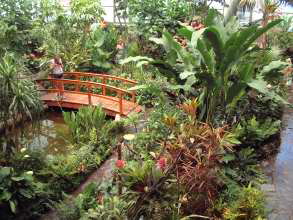 Mariposario der Garten mit den Schmetterlingen