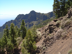 Teneriffa Teide Mirador Crucita