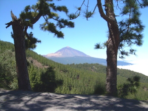 Teneriffa Teide Ortuno Mirador