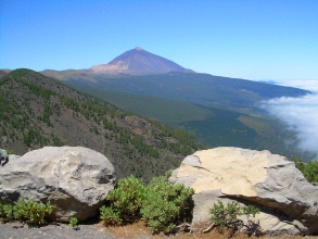 am Strassenrand vom Teide Teneriffa