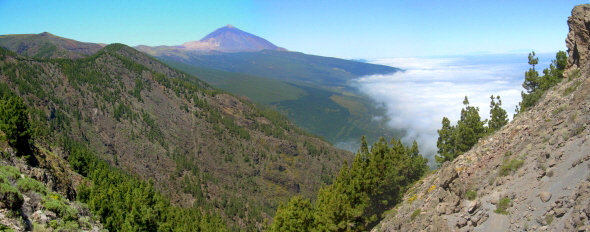 Aussicht auf Wald und Teide auf Teneriffa