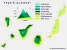 Vegetationszonen Kanaren